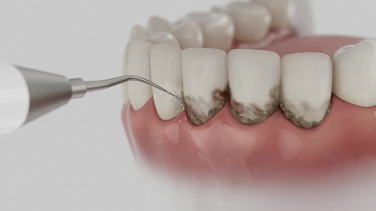 Reliable Dental contractor in Falmouth, VA by Dentist Open Now